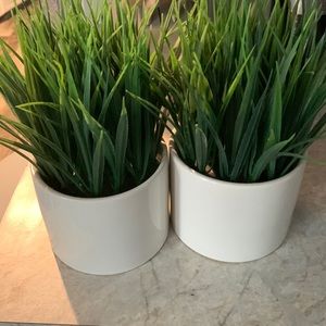 Artificial grass in pot!